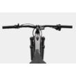 CANNONDALE Moterra Neo 4 elektromos kerékpár (630Wh, ezüst szín)