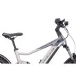 BULLS Iconic Evo TR 2 elektromos kerékpár (750Wh, silver)