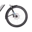 BULLS Iconic Evo TR 2 elektromos kerékpár (750Wh, silver)