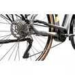 GEPIDA Alboin Curve TR XT 10 elektromos kerékpár (625Wh, matt grafit)