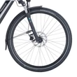 PEGASUS Evo CX elektromos kerékpár (625Wh, silver matt)