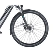 PEGASUS Evo CX elektromos kerékpár (625Wh, silver matt)
