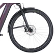 PEGASUS Premio Evo 11 Lite elektromos kerékpár (750Wh, lila szín)
