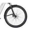 PEGASUS Premio Evo 10 Lite elektromos kerékpár (800Wh, arctic silver)