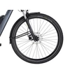 PEGASUS Solero E5F Belt elektromos kerékpár (545Wh, dark chrome silver)