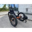 ICE FAT Steps electric trike