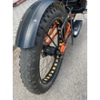 ICE FAT Steps electric trike Rohloff
