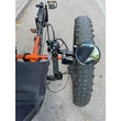 ICE FAT Steps electric trike