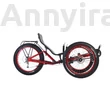 Azub FAT tadpole trike