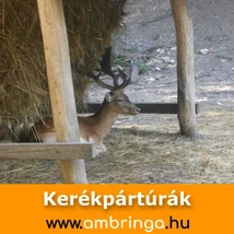  Szalajka-völgy Milleniumi kilátó kerékpártúra