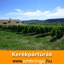 Tanúhegyek kerékpártúra
