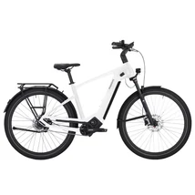 Pegasus Estremo Evo 9 Lite elektromos kerékpár férfi vázzal metallic off-white (fehér) színben