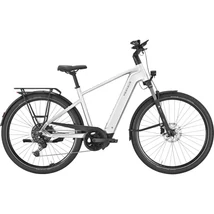 PEGASUS Premio Evo 10 Lite elektromos kerékpár (800Wh, arctic silver)