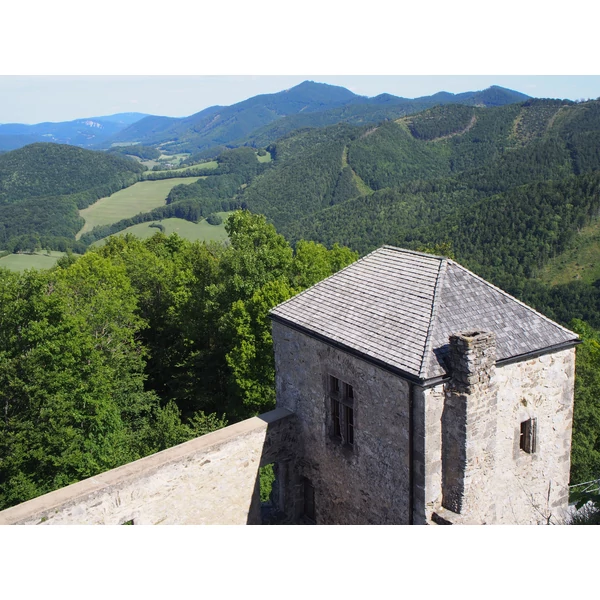 Bécsi erdő kerékpártúra