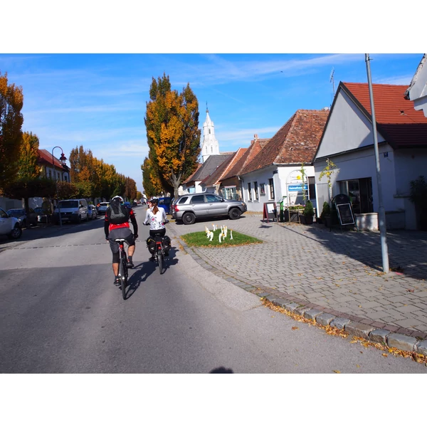 Fertő-tavi kerékpártúra