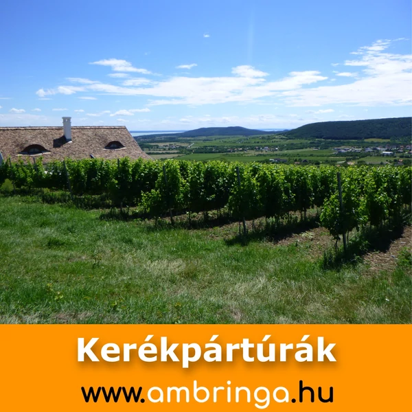 Tanúhegyek kerékpártúra
