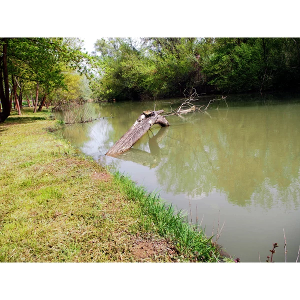 Tisza tavi kerékpáros körtúra