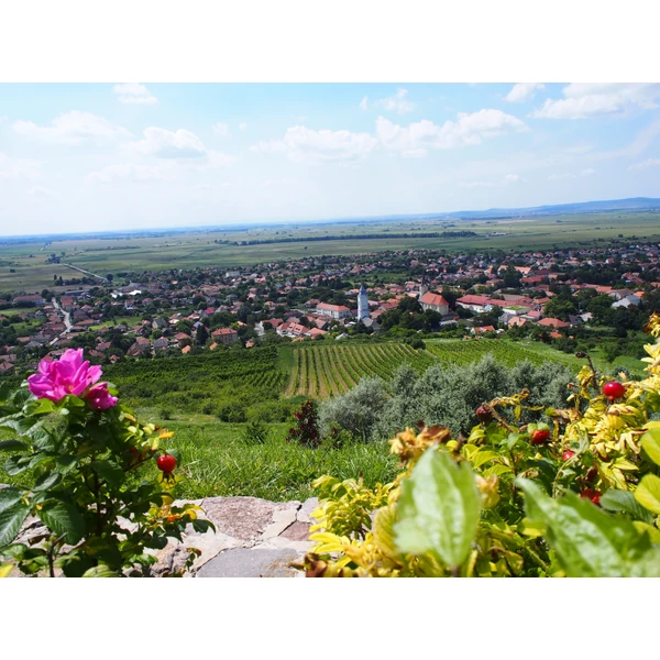 Tokaj hegyi kerékpártúra
