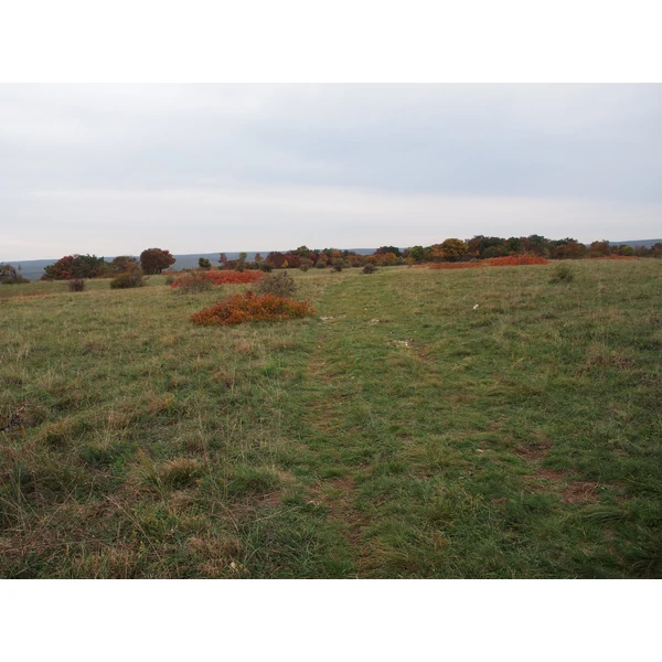 Vérkör MTB kerékpártúra
