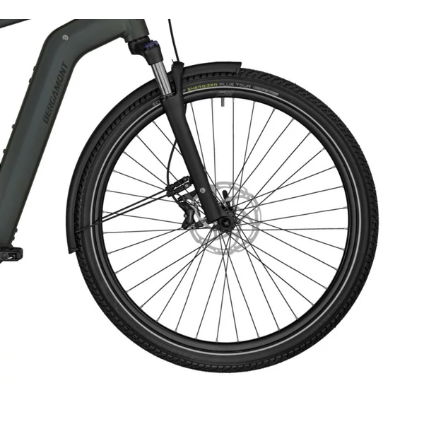 Bergamont E-Horizon Expert 6 elektromos kerékpár férfi vázzal (625Wh, matt grenish)