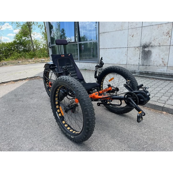 ICE FAT Steps electric trike