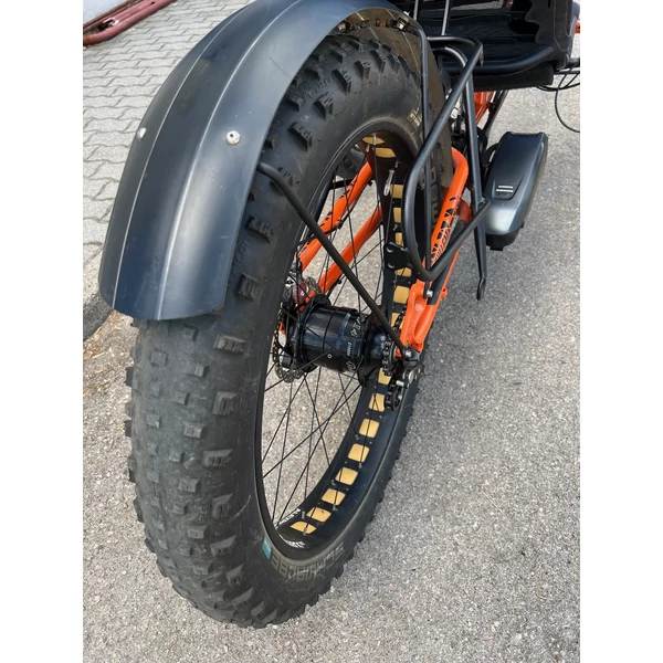 ICE FAT Steps electric trike Rohloff