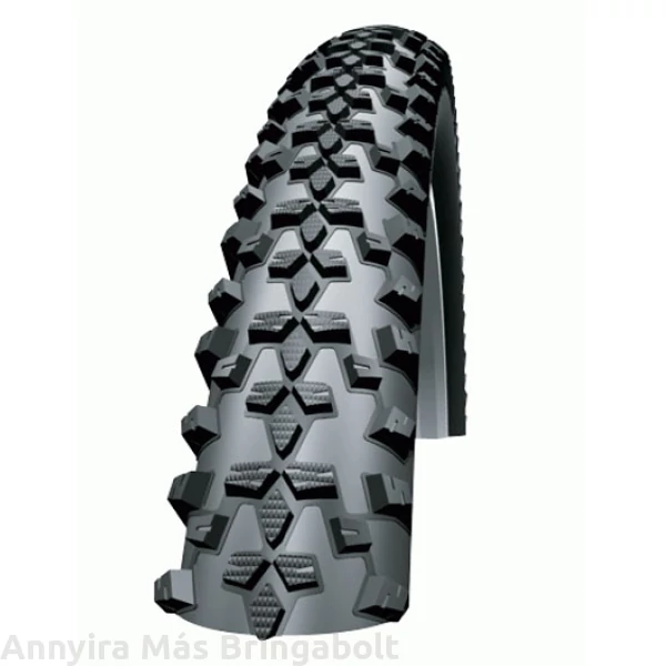 Schwalbe Smart Sam