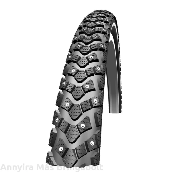 Schwalbe Marathon Winter 20